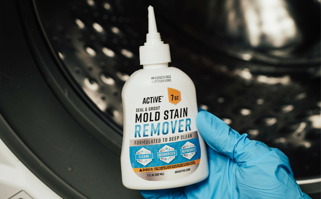 Active Mold Stain Remover Gel Cleaner