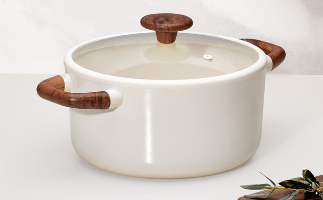 Carote 5 Quart Ceramic Nonstick Stock Pot with Lid