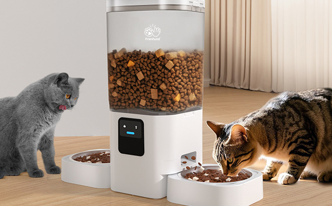 Cats Eating from Frienhund Automatic Cat Feeder