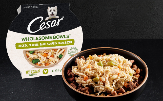 Cesar Wholesome Bowls Wet Dog Food