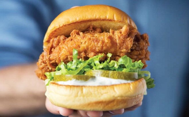 Chicken ShackBurger sandwich