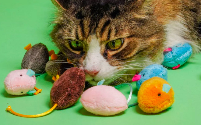 Hartz Cat Toys