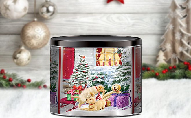 Holiday Popcorn Tins $5.59