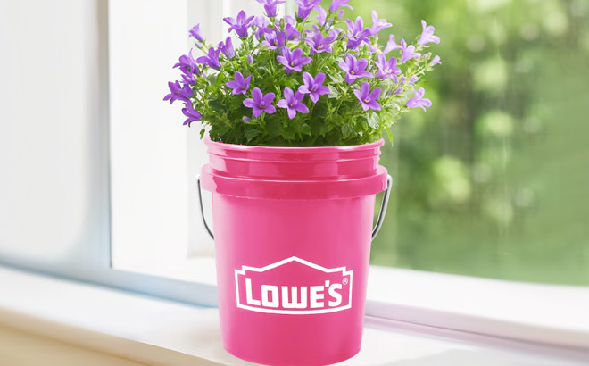 Lowes Mini 0 4 Quart Bucket on the Window