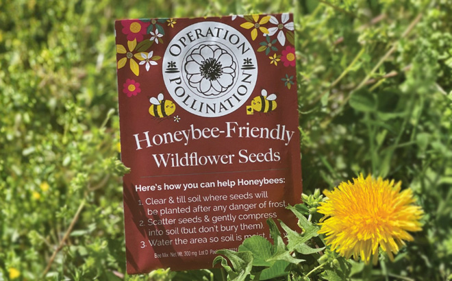 Operation Pollination Honey Bee Friendly Wildflower Seed Packets