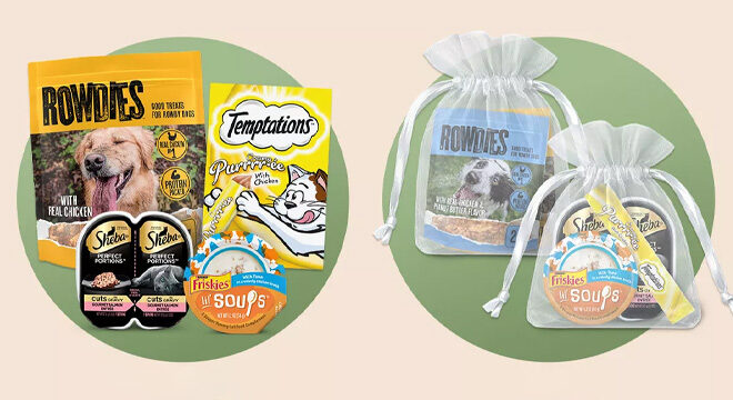 Pet Month Store Event