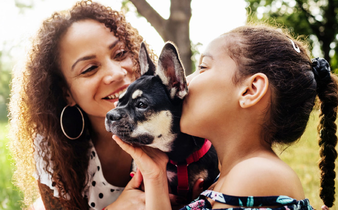 Purina Dog Chow Giving You 100 Contest