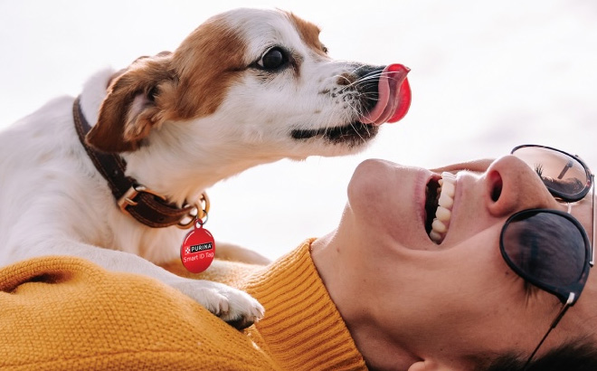 Purina Pet Tag