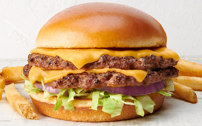 Rubys Burger with Fries