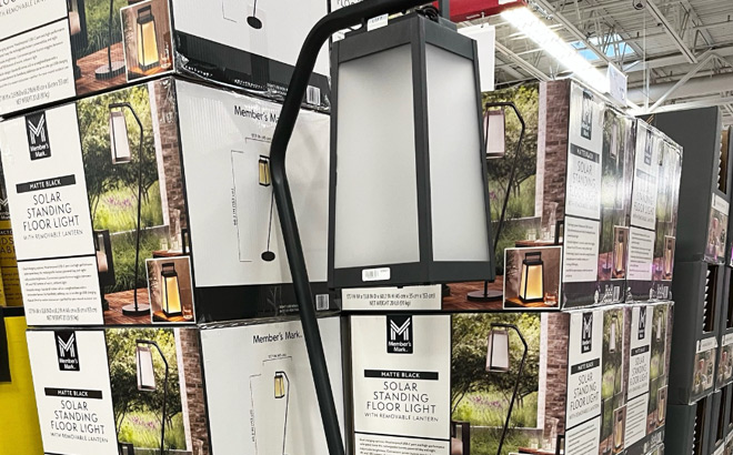 Solar Standing Floor Light at Sams Club