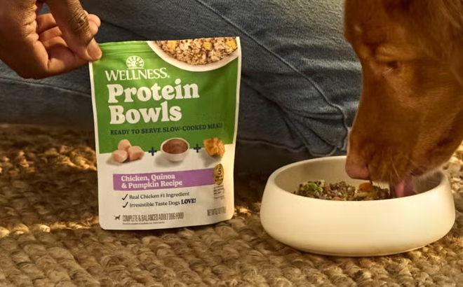Wellness Dog Food Protein Bowls